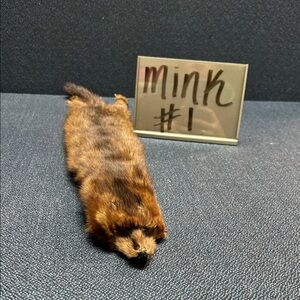 99 Mink Fur Pelt Choice 1